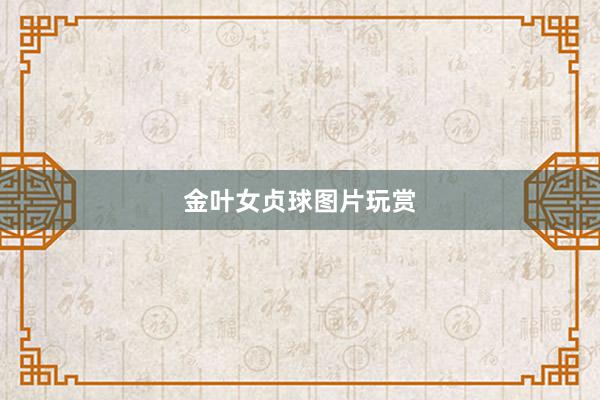 金叶女贞球图片玩赏